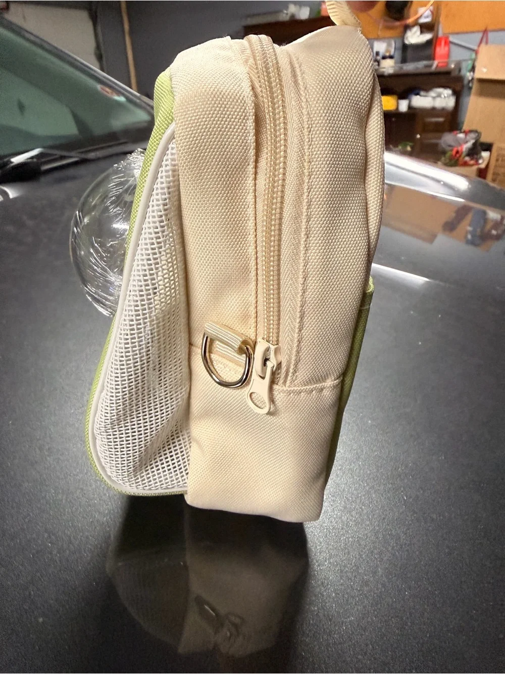 Cream and Light Green Pet Carrier Tote with Bubble Window